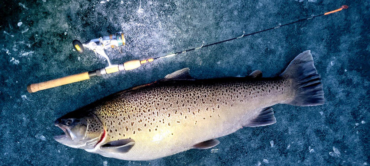 CUSTOM LAKE TROUT ICE ROD - Yogi Rods LLC